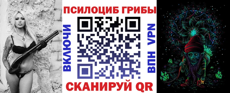 Псилоцибиновые грибы Psilocybine cubensis  Красавино 