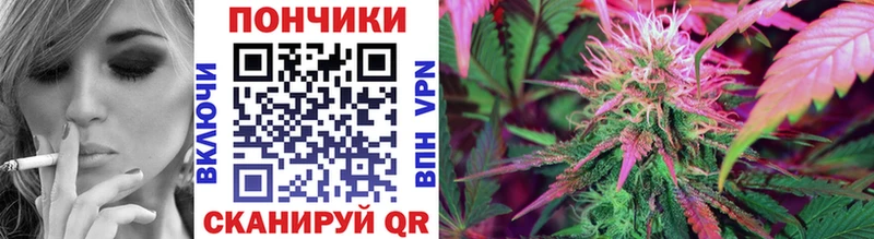 Шишки марихуана гибрид Красавино